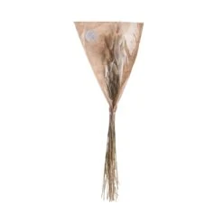 2x Trockenblumen Lagurusgras Länge 70cm FLOWER MARKET In Natur -Home Decoration&Supplies butlers 2x trockenblumen lagurusgras lange 70cm flower market in natur 2