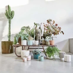 Blumentopf Ø11cm SUNSET In Beige-Pastellorange -Home Decoration&Supplies butlers blumentopf o11cm sunset in beige pastellorange 4