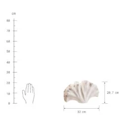 Deko-Objekt Blatt Höhe 21cm GINKGO In Creme -Home Decoration&Supplies butlers deko objekt blatt hohe 21cm ginkgo in creme 3