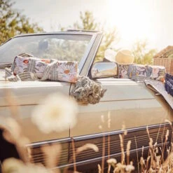 Picknickdecke L 175 X B 154cm BETWEEN FLOWERS In Creme -Home Decoration&Supplies butlers picknickdecke l 175 x b 154cm between flowers in creme 11